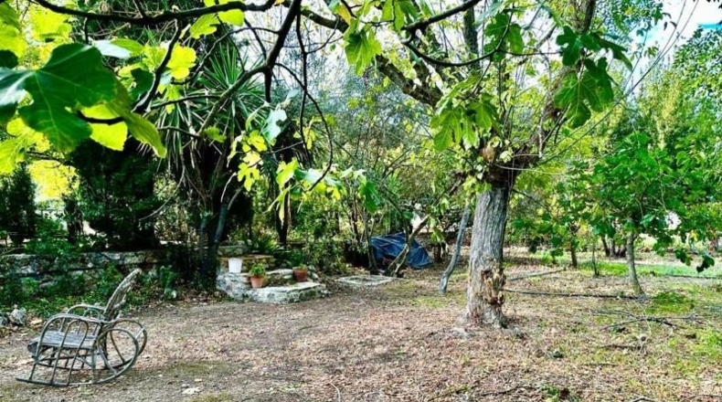 Córdoba - Carcabuey - 3100m2