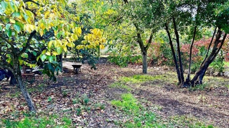 Córdoba - Carcabuey - 3100m2