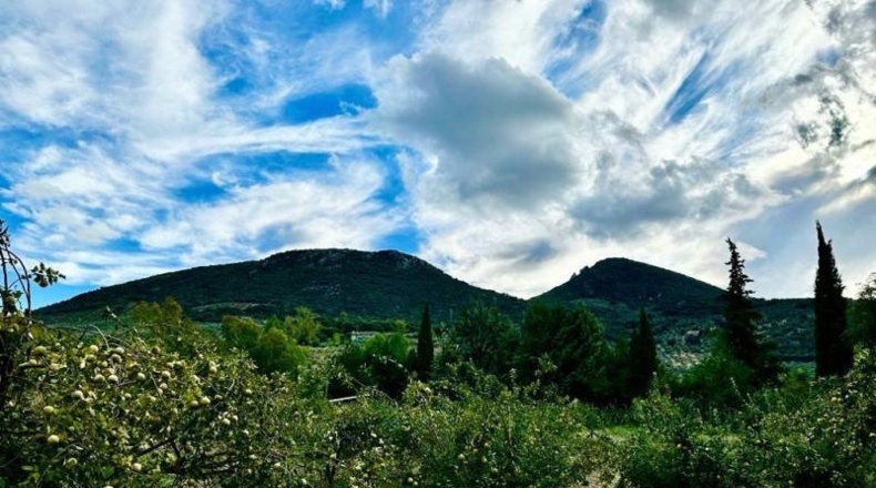 Córdoba - Carcabuey - 3100m2