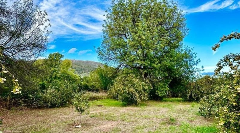 Córdoba - Carcabuey - 3100m2