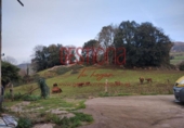 Casa de camp amb terreny en venda a la España, Villafufre, ref.: TR154733 foto