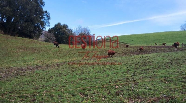 Cantabria - Villafufre - 54000m2