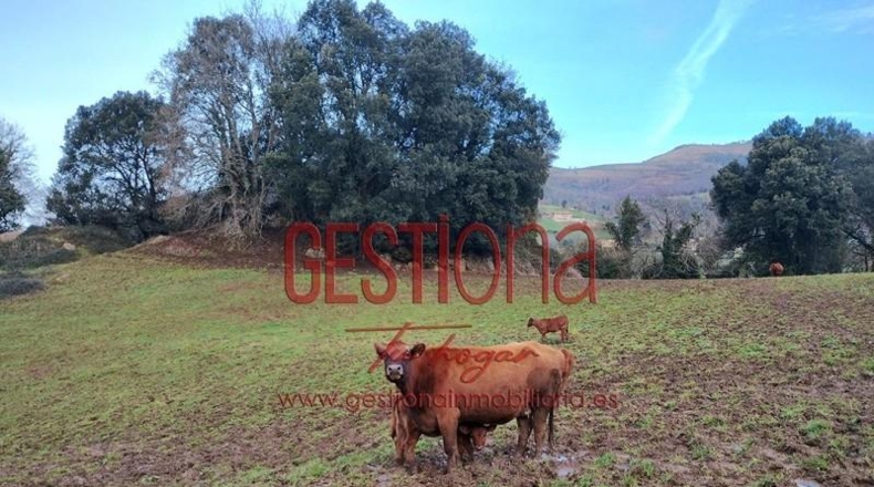 Cantabria - Villafufre - 54000m2
