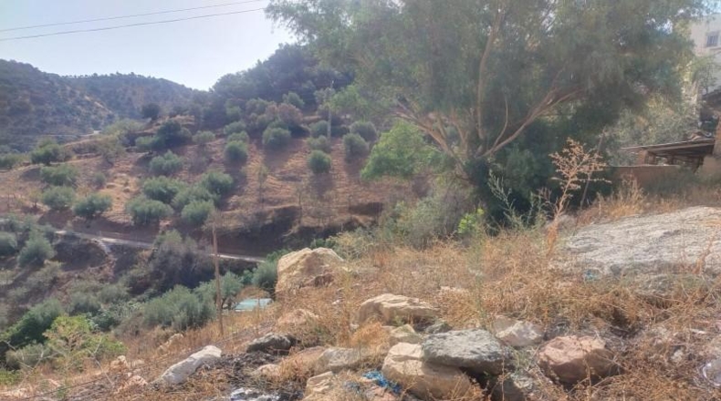 Malaga - Casabermeja - 1352m2