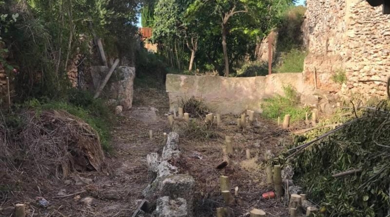 Balearic Islands - Sencelles - 539m2