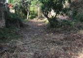 Urban land for sale on España, Sencelles, ref: TR174665 photo