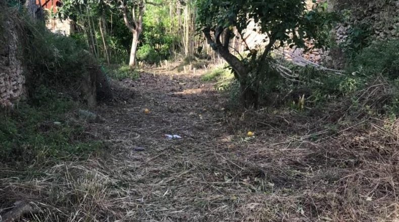 Balearic Islands - Sencelles - 539m2