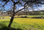 Xalet independent amb terreny en venda a la España, Etsain, ref.: TR174688 foto