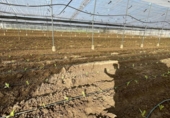 Участок с постройкой на продажу в городе Arcos de la Frontera Фото