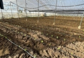 Участок с постройкой на продажу в городе Arcos de la Frontera Фото