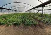 Участок с постройкой на продажу в городе Arcos de la Frontera Фото