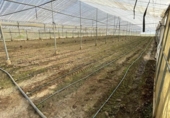 Участок с постройкой на продажу в городе Arcos de la Frontera Фото