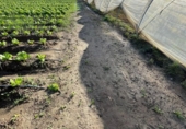 Участок с постройкой на продажу в городе Arcos de la Frontera Фото