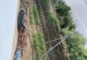 Участок с постройкой на продажу в городе Arcos de la Frontera Фото