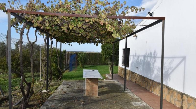 Cadiz - Medina Sidonia - 2500m2