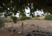 Xalet independent amb terreny en venda a la España, Medina Sidonia, ref.: TR180366 foto