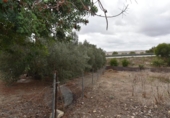 Xalet independent amb terreny en venda a la España, Medina Sidonia, ref.: TR180366 foto