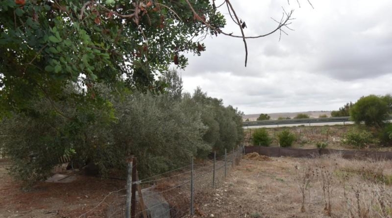 Cadiz - Medina Sidonia - 2500m2