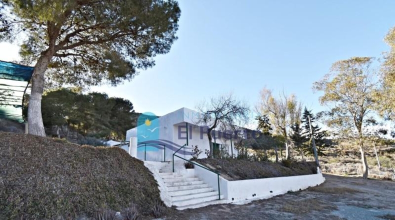 Murcia - Fuente Álamo de Murcia - 31860m2