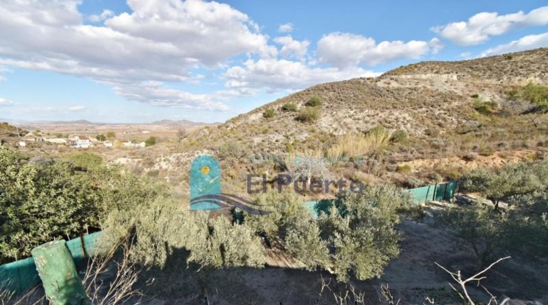 Murcia - Fuente Álamo de Murcia - 31860m2