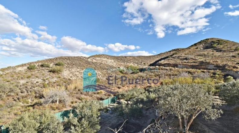 Murcia - Fuente Álamo de Murcia - 31860m2