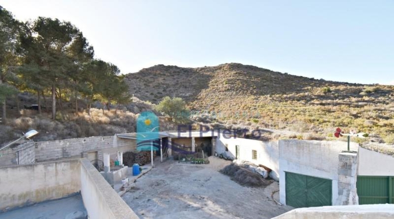 Murcia - Fuente Álamo de Murcia - 31860m2