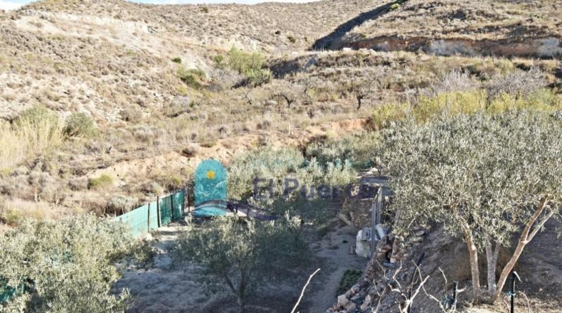 Murcia - Fuente Álamo de Murcia - 31860m2