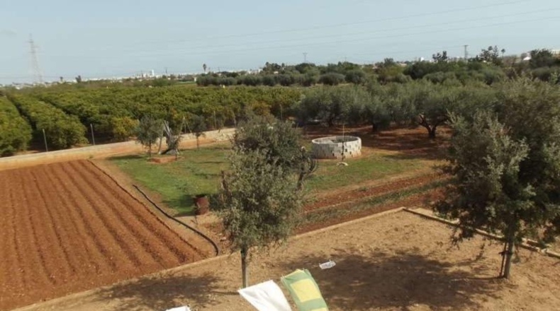 Castellón - Peníscola - 5485m2