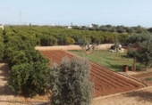 Xalet independent amb terreny en venda a la España, Peníscola, ref.: TR157497 foto