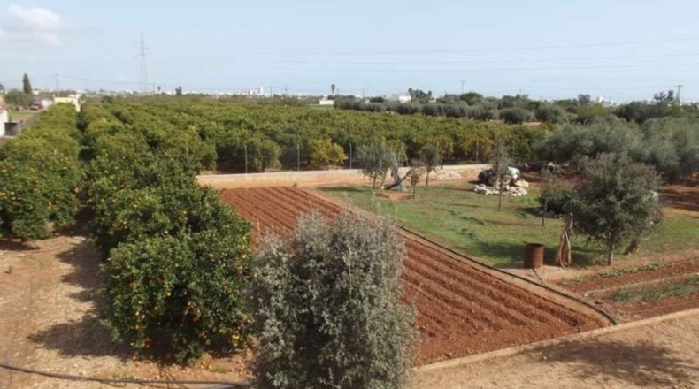 Castellón - Peníscola - 5485m2