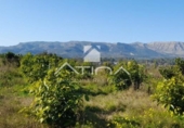 Detached villa with land for sale on España, Palma de Gandía, ref: TR157636 photo