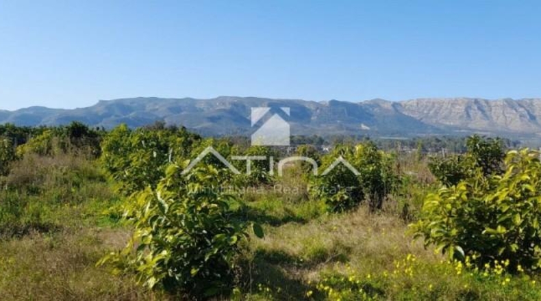 Valencia - Gandia - 7000m2