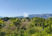 Detached villa with land for sale on España, Palma de Gandía, ref: TR157636 photo