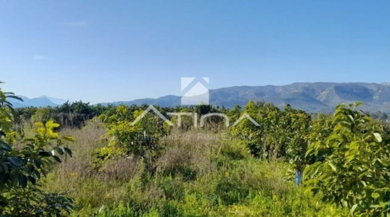 Valencia - Gandia - 7000m2