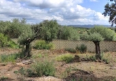Sòl urbà en venda a la España, Còrdova, ref.: TR172117 foto