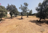 Sòl urbà en venda a la España, Còrdova, ref.: TR172117 foto