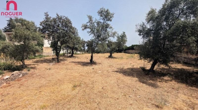 Córdoba - Córdoba - 2121m2