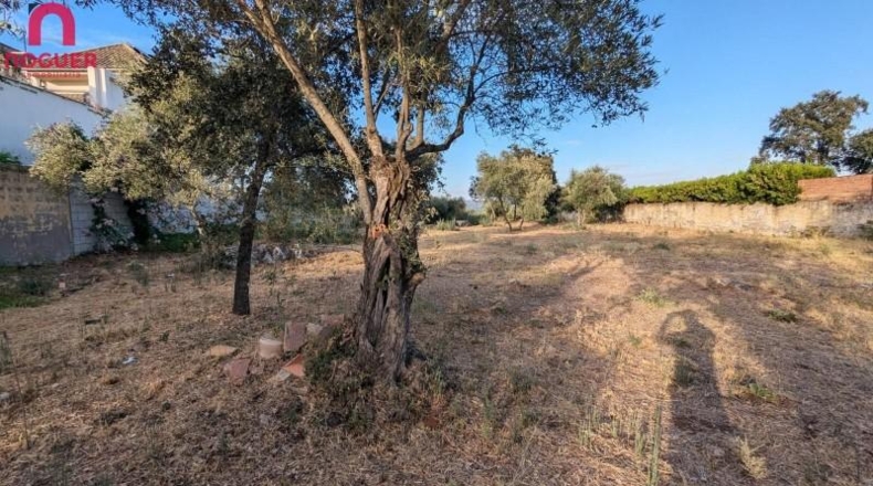 Córdoba - Córdoba - 2121m2