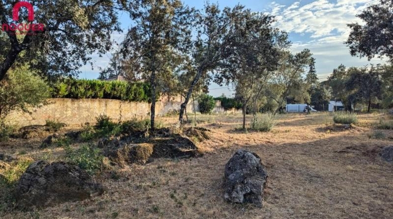 Córdoba - Córdoba - 2121m2