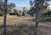 Sòl urbà en venda a la España, Còrdova, ref.: TR172117 foto