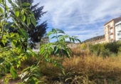 Land suitable for development for sale on España, Olot, ref: TR173014 photo