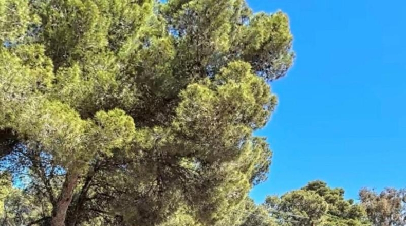 Alicante - Jávea - 972m2