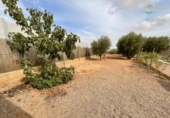Casa de camp amb terreny en venda a la España, Fuente Álamo, ref.: TR170098 foto