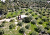 Xalet independent amb terreny en venda a la España, l'Ametlla de Mar, ref.: TR395642 foto
