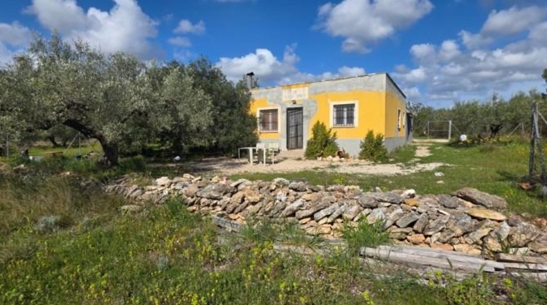 Tarragona - l'Ametlla de Mar - 6000m2