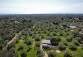 Xalet independent amb terreny en venda a la España, l'Ametlla de Mar, ref.: TR395642 foto