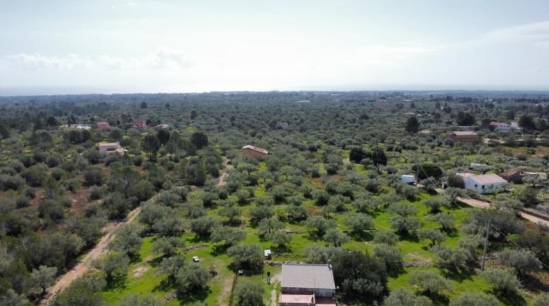 Tarragona - l'Ametlla de Mar - 6000m2
