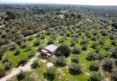 Xalet independent amb terreny en venda a la España, l'Ametlla de Mar, ref.: TR395642 foto
