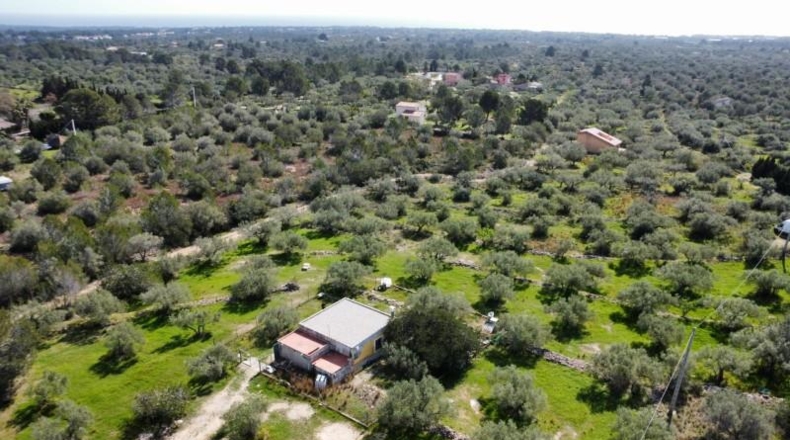 Tarragona - l'Ametlla de Mar - 6000m2