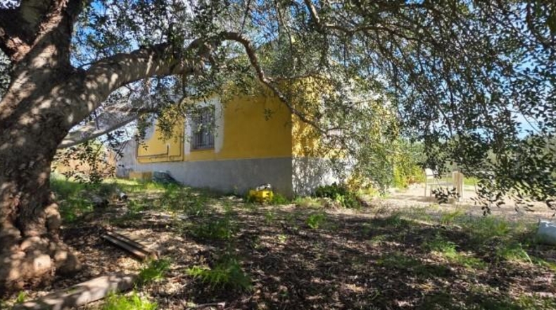 Tarragona - l'Ametlla de Mar - 6000m2